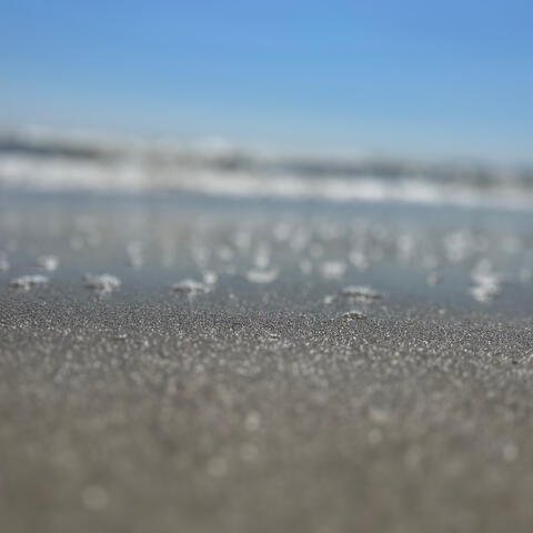 Far off Shores