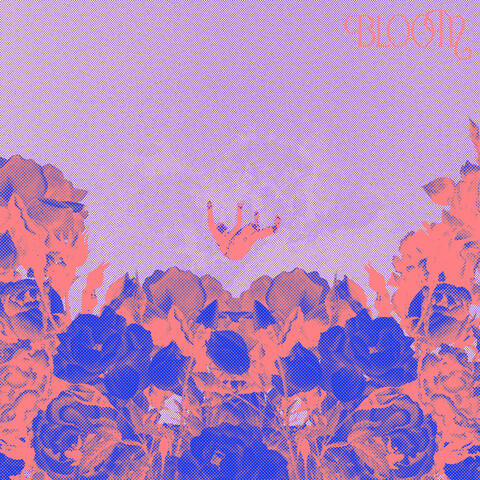 Bloom