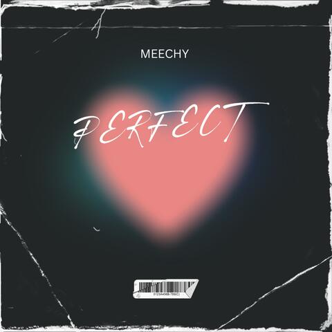 PERFECT