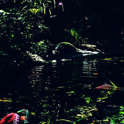 Vivid Green