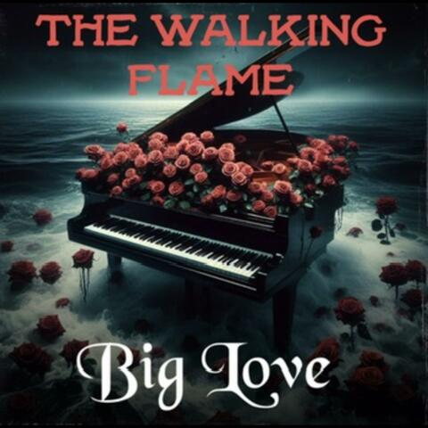 Big Love