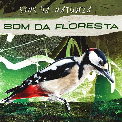 Som da Floresta