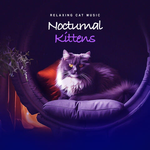 Nocturnal Kittens