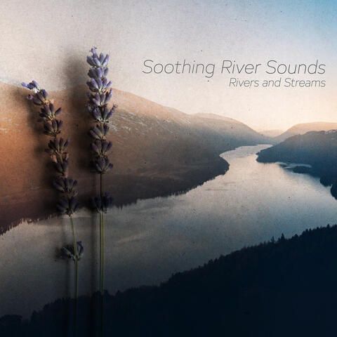 Soothing River Sounds