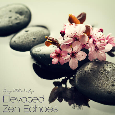 Elevated Zen Echoes