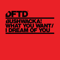 I Dream Of You