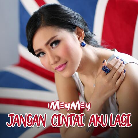 Jangan Cintai Aku Lagi