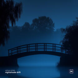 hidden in the fog