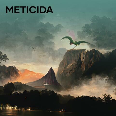 Meticida