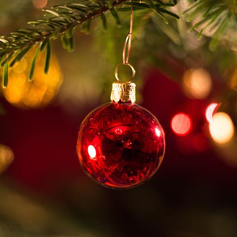 Natal feliz