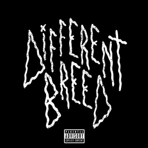 Different Breed
