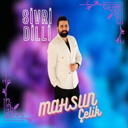 Sivri Dilli