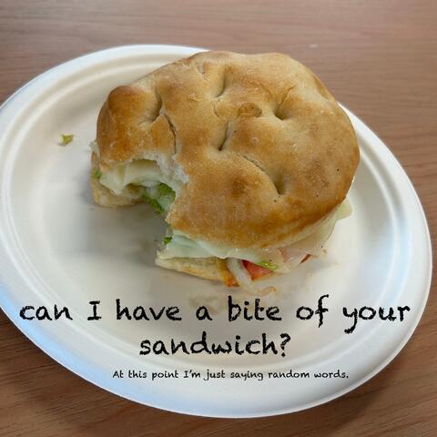 can I have a bite of your sandwich? At this point I'm just saying random words.