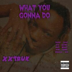 What you Gonna Do
