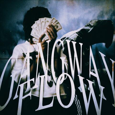 GangWay Flow