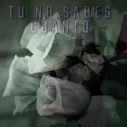 TU NO SABES CUANTO