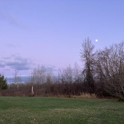 All That Shines So Bright