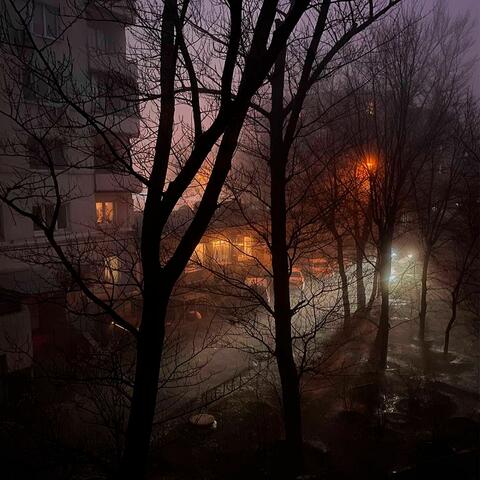 будущее