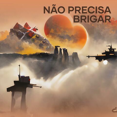 Não Precisa Brigar