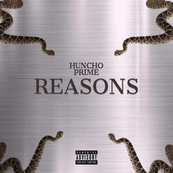 Reasons
