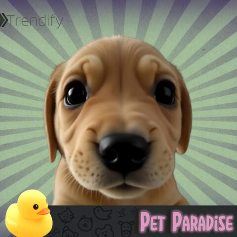 Pet Paradise