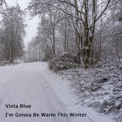 I'm Gonna Be Warm This Winter