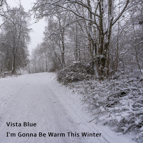 I'm Gonna Be Warm This Winter