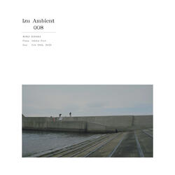 Izu Ambient 008