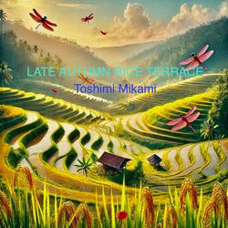 LATE AUTUMN RICE TERRACE