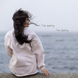 I'm sorry, I'm sorry