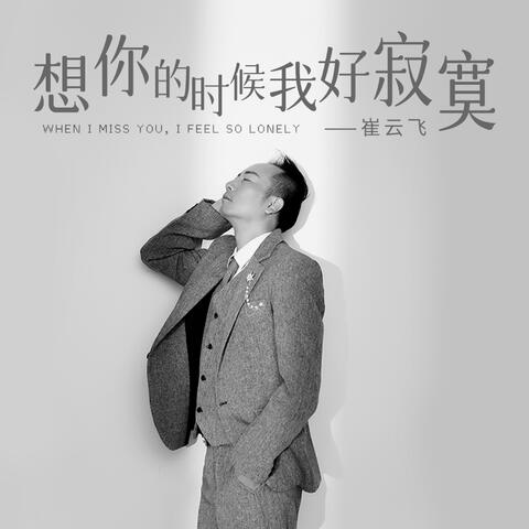 想你的時候我好寂寞