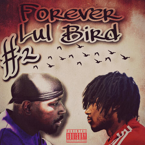 Forever Bird 2