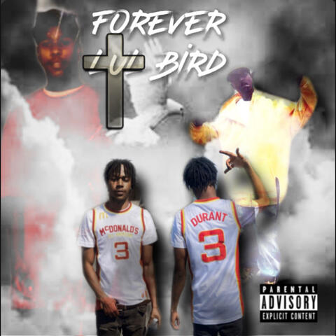 Forever Bird