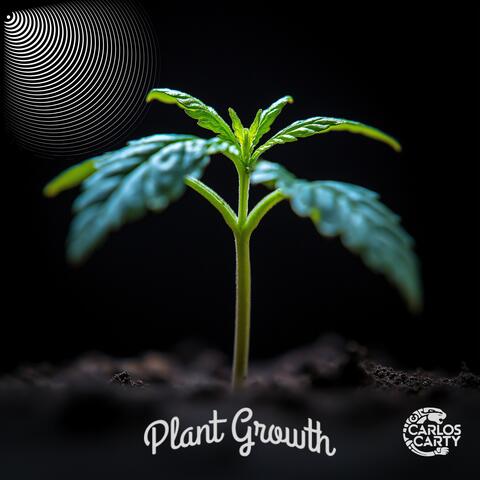Plant Growth