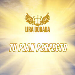 Tu Plan Perfecto