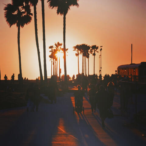 Meet Me In Venice