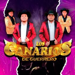 Cuerpecito de Uva