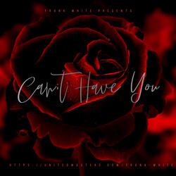 Can't Have You