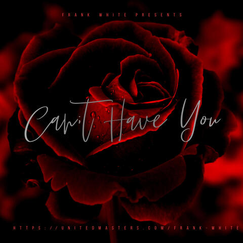 Can't Have You