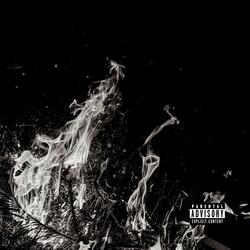 Black Dragon Assassin