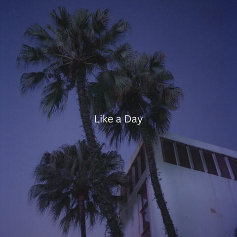Like a Day