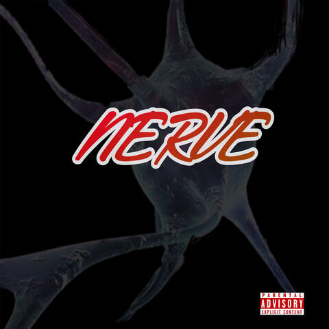 Nerve