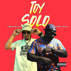 Toy solo
