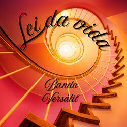Lei da vida