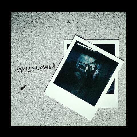 Wallflower