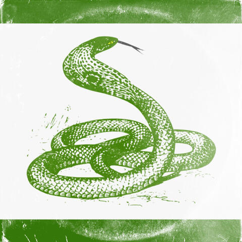 Year Of The Snake