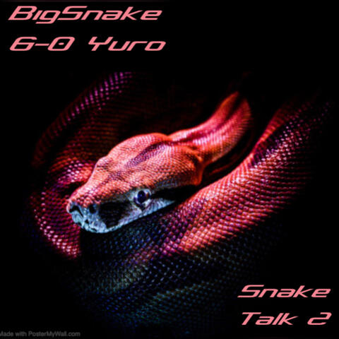 Snake Talk 2