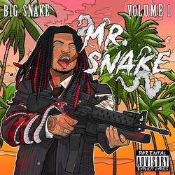 Mr.Snake