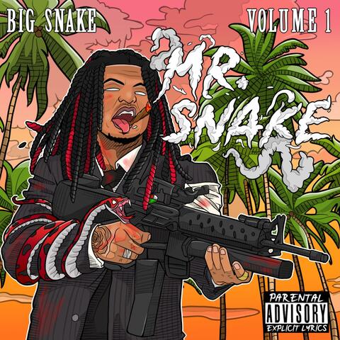 Mr.Snake