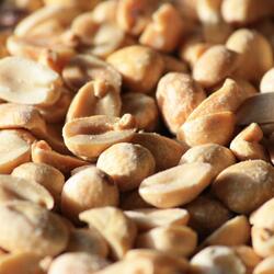 Peanuts For Carter
